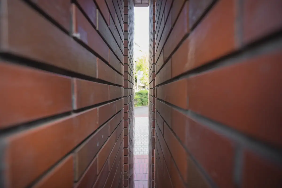 Beyond Bricks: Crafting Seamless, High-End Home Expansions That Wow